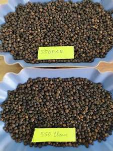 Pimienta Negra Entera Seca Cruda 505g Origen Sudeste de Vietnam Especia de Una Sola Hierba para Sazonar - Product Image 2