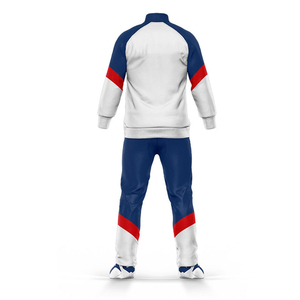 Wholesale Plus Size Relaxed Streetwear <b>Tracky</b> Colorblock Casual Commuting Travel Resistant Nylon Ultralight Men Tracksuit OEM - Product Image 2