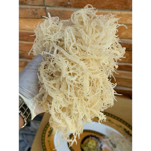 MUSGO DE MAR ORGÁNICO PREMIUM AL POR MAYOR PARA EXPORTACIÓN, MUSGO SECO VIETNAMITA COSECHADO EN SUELA DE MAR, SEASONADO Y PROCESADO, MEJOR PRECIO - Sra. Lily - Product Image 3