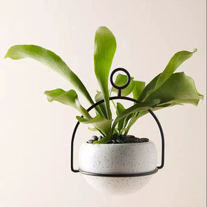 Support mural pour pot de fleurs en fer noir avec revêtement poudré, personnalisable, pour la décoration de la maison et du bureau - Product Image 1