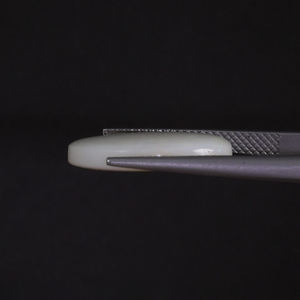 โอปอลธรรมชาติสีขาวคุณภาพดี รับรองโดย IGI น้ำหนัก 7.70 กะรัต รูปทรงวงรี ขนาด 19x15.5 มม. ตัดด้วยมือ ขัดเงา ใช้น้ำยาเคลือบเงา/น้ำมัน - Product Image 2