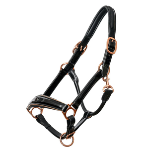 Cabestro Profesional para Caballos, Estilo Inglés, para Equitación al Aire Libre, de Alta Calidad y Duradero, en Venta - Product Image 1