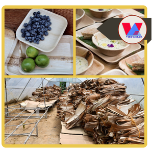 Vajilla Biodegradable de Hoja de Palma de Areca, Bandejas de Servicio de 3 Compartimentos, Contenedor Desechable Zero Waste para Comida para Llevar - Product Image 3