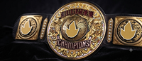 Ceinture de championnat du monde Ronpex International en laiton et cuir, personnalisable, unisexe, épaisseur 1 cm, pour adultes, lutte, longueur 2,2 m