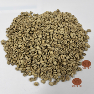 Granos de Café Verde Arábica Más Vendidos de Vietnam, Cosecha Fresca, Café Crudo, Precio Directo de Fábrica OEM ODM - Product Image 1