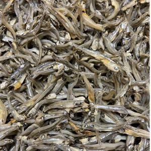 Anchois séchés et salés naturels de haute qualité - Approvisionnement en gros pour l'exportation avec des prix de gros compétitifs - Product Image 6