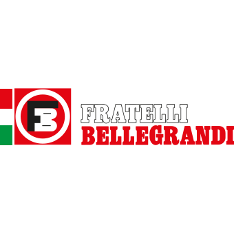 FRATELLI BELLEGRANDI DI COTTINI & ROVIZZI SNC logo
