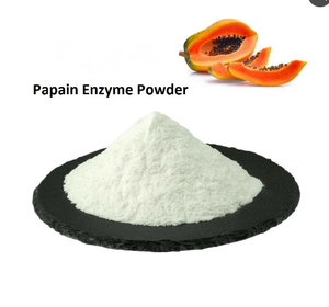 ผงเอนไซม์ปาปายน์ ผลิตในอินเดีย - Product Image 1