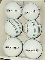 Ballon de cricket en cuir OEM Premium 4 pièces 156g, professionnel, pour matchs de test, rigide, ambidextre, cousu main, épaisseur 13-16mm |   IBEX