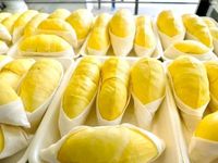 Premium verse & diepvriesdurian exportkwaliteit Viet Delta merk natuurlijk felgeel 12 maanden diepvrieshoudbaarheid vacuüm verpakt