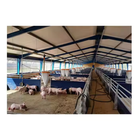 QCF017 Gallinero/Corral para Aves de Corral/Establo para Vacas/Corral para Ovejas de Estructura de Acero Prefabricada, Económico y de Fácil Instalación, Personalizable Según Se Solicite