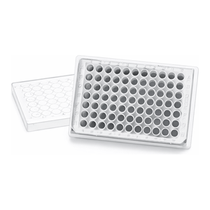 Microplaca Plana Blanca SPL con Pared Blanca/Fondo Transparente para Luminiscencia y Microscopía Celular - Product Image 2