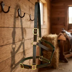 Marca ANNABELLE EQUESTRIAN, Cabestro de Cuero Genuino Hecho a Medida, Cabestro de Cuero Ajustable para Caballo, Accesorios para Caballos, Listo para Usar - Product Image 1