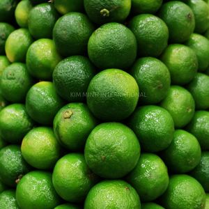 Qualité supérieure pour le citron vert frais, citron vert à 90 % de maturité, excellente qualité, fabriqué au Vietnam - Product Image 4