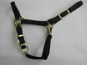 สายจูงม้าไนลอนหลากสีพร้อมหัวเข็มขัดปรับได้สำหรับขี่ม้าและฝึกม้า - Product Image 2