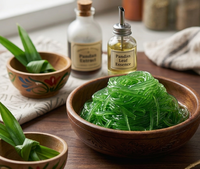 Prix d'usine Nata de Coco en sirop Pandan 720g – Gel de noix de coco premium déshydraté pour boissons saines et ingrédients culinaires