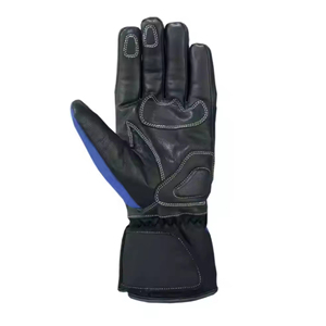 Hot Sale Genuine Leather Motorcycle <b>Gloves</b> Racing Riding <b>Touchscreen</b> Full Finger Motorbike <b>Gloves</b> - Product Image 3