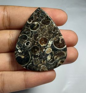 Cabochon en agate Turritella en forme de cœur, pierre précieuse minérale polie pour la fabrication de bijoux - Product Image 4