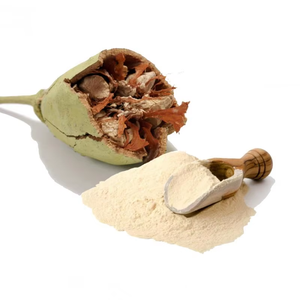 ผงบาวบับบริสุทธิ์ 100% อุดมไปด้วยวิตามินซี บี โพแทสเซียม เหล็ก แคลเซียม ผงบาวบับเกรดอาหารเพื่อเสริมสร้างภูมิคุ้มกันและพลังงาน - Product Image 4