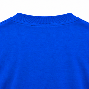 Camiseta de manga corta con cuello redondo y gráfico del escudo de Phi Beta Sigma en azul real para hombre, ligera, ideal para eventos casuales universitarios de fraternidad. - Product Image 6