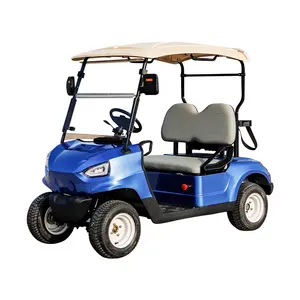 Versatile Wholesale golf cart for sale For Great Golfing Experience 