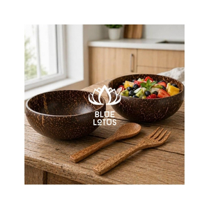 FAVORI DES CLIENTS : Bol en Coque de Noix de Coco – Vaisselle Écologique pour Servir des Snacks et Présenter des Salades, Matériau Sûr pour la Vente en Gros - Product Image 1
