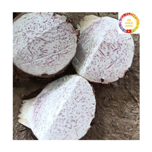 Raíz de Taro Congelada en Cubos IQF, Pelada, Natural, a Granel, Proveedor Mayorista OEM de Vietnam - Product Image 5