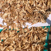 Poudre de coquilles de crevettes (Farine de poisson) - Source naturelle de calcium et de chitine pour l'alimentation des porcs et des poissons en aquaculture