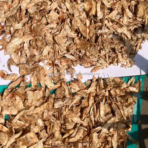 Polvo de Cáscara de Camarón - Fuente natural de calcio y quitina para alimentación animal y aplicaciones de acuicultura. - Product Image 2
