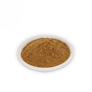 Poudre de datte à mailles fines de haute qualité, édulcorant naturel à base de fruits, matière première, poudre de datte, marque privée, emballage personnalisé, fournisseur en gros - Product Image 2