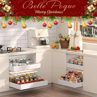 Étagère de rangement métallique rétractable, largeur réglable, tiroirs de rangement pour condiments, armoires non perforées, étagères coulissantes