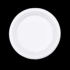 Assiettes jetables uniques et robustes en papier pour la restauration en gros, restaurants, hôtels, cafés, camions de nourriture - Product Image 1