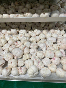 Premium Freeze-Dried Banana Chunks 100% Natural Crunchy Fruit Snacks FD Banana, Freeze-dried banana coins - Product Image 4