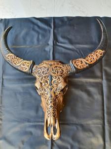 Cráneo de Cuerno de Búfalo Pulido Hecho a Mano en India, Estilo Animal para Colgar en la Pared y Decoración Rústica - Product Image 5