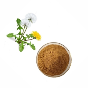 Poudre de racine de pissenlit 100% pure pour tisanes, poudre de pissenlit en vrac pour boissons bien-être, mélanges de thés, smoothies, recettes détox - Product Image 3