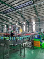 VINUT 10L 10kg 100% Versgeperste Sapdrank Vietnam Drank Groothandel OEM ODM Export Leverancier