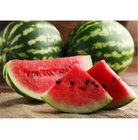 Premium verse watermeloen, zoet, sappig, tropisch fruit voor gezond consumptie, groothandelslevering en internationale distributie