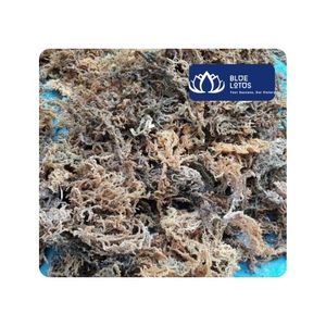 [สินค้าขายดี] ผงเยลลี่หญ้าดำแห้ง AD แบบขายส่ง สำหรับทำเครื่องดื่ม ของหวาน และชา ผลิตในเวียดนาม - Product Image 1