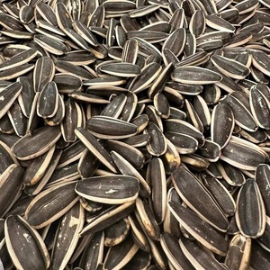 เมล็ดทานตะวันดำลายเส้นคุณภาพสูง ปลอดจีเอ็มโอ แบบมีเปลือก แช่แข็ง ผลผลิตใหม่ล่าสุดจากสหราชอาณาจักร ขายดี ราคาพิเศษ - Product Image 1