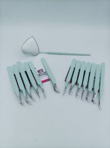 Best Seaglass Powder Coating Different Style Stainless Steel Eyelash Extension Tweezers with Heart Design Mirror Beauty Tools - Product Image 4