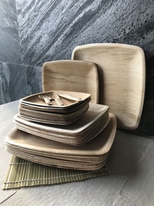 Assiettes jetables écologiques en feuilles de palmier, carrées de 10 pouces, lot de 50, pour les apéritifs Chaat et les plats à emporter - Product Image 1