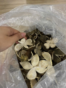Écorces d'orange séchées du Vietnam, matériau citrique propre pour infusion de thé, ingrédient culinaire, directement de l'usine - Product Image 3