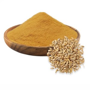 Extracto de Cebada Maltada Premium 10:1 en Polvo, Polvo de Cebada Natural, Extracto Premium de Hordeum Vulgare de la India - Product Image 3