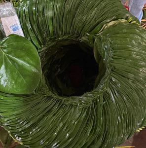 ปลากัดสีเขียวสดซูเปอร์มาร์เก็ตและร้านขายของชำในราคาถูก - Product Image 4