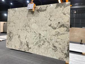 Top quality natural Monalisa Exotic <b>granite</b> modern polished for Airport, Railway Station, Hotel, Villa, Apartment, Office - Product Image 1