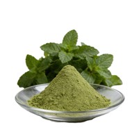 Poudre de menthe 100 % naturelle de qualité export, pure, de qualité cosmétique, pour une sensation rafraîchissante et apaisante sur la peau