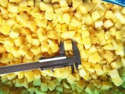 PIÑA CONGELADA ESTÁNDAR DE EXPORTACIÓN EN OFERTA 2026 - Product Image 5