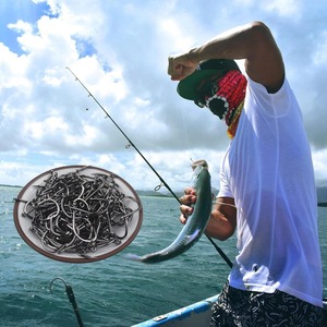 Fishing Hooks Freshwater Saltwater Fish Hooks Bulk Fishing Hooks Set <b>Worm</b> Catfish Hooks Fish <b>Gear</b> Equipment Supplies - Product Image 6