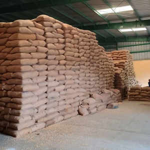 Semillas de Maíz Amarillo Convencional de Alto Contenido Proteico, las Más Vendidas, para Alimentación de Caballos, Ganado y Cerdos, Grado A, de Exportador Indio a Bajo Precio - Product Image 5