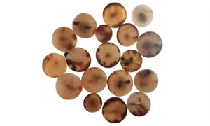 Fabricante de Botones en Blanco Hechos a Mano con Cuerno de Búfalo Ecológico, Colores Negro Natural y Dorado, Varios Tamaños - Product Image 5